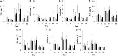 Response of Microphytobenthos and Benthic Bacteria Viability to Eutrophication in a Benthic–Pelagic Coupling Mesocosm Experiment